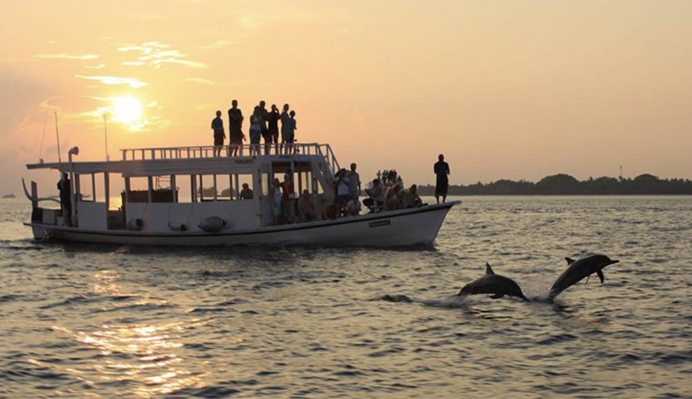 Delfini accanto a una barca durante il tramonto